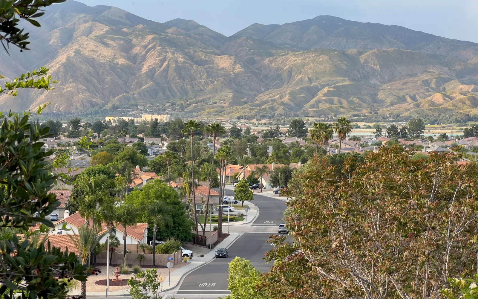 A California residential neighborhood showing single-family homes and tree-lined streets